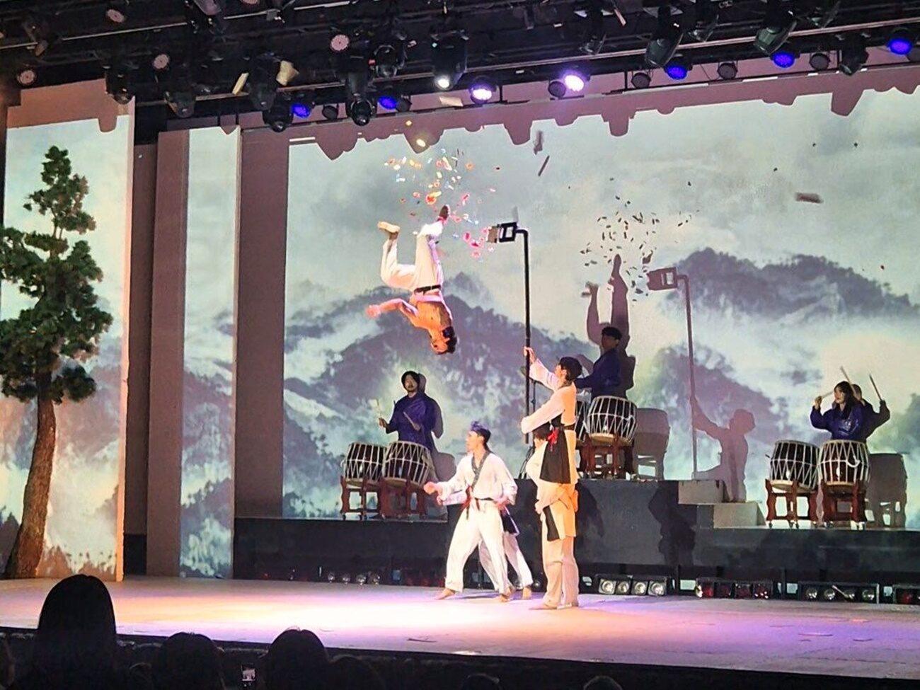 taekwondo performance jeju dingdong tour (1)